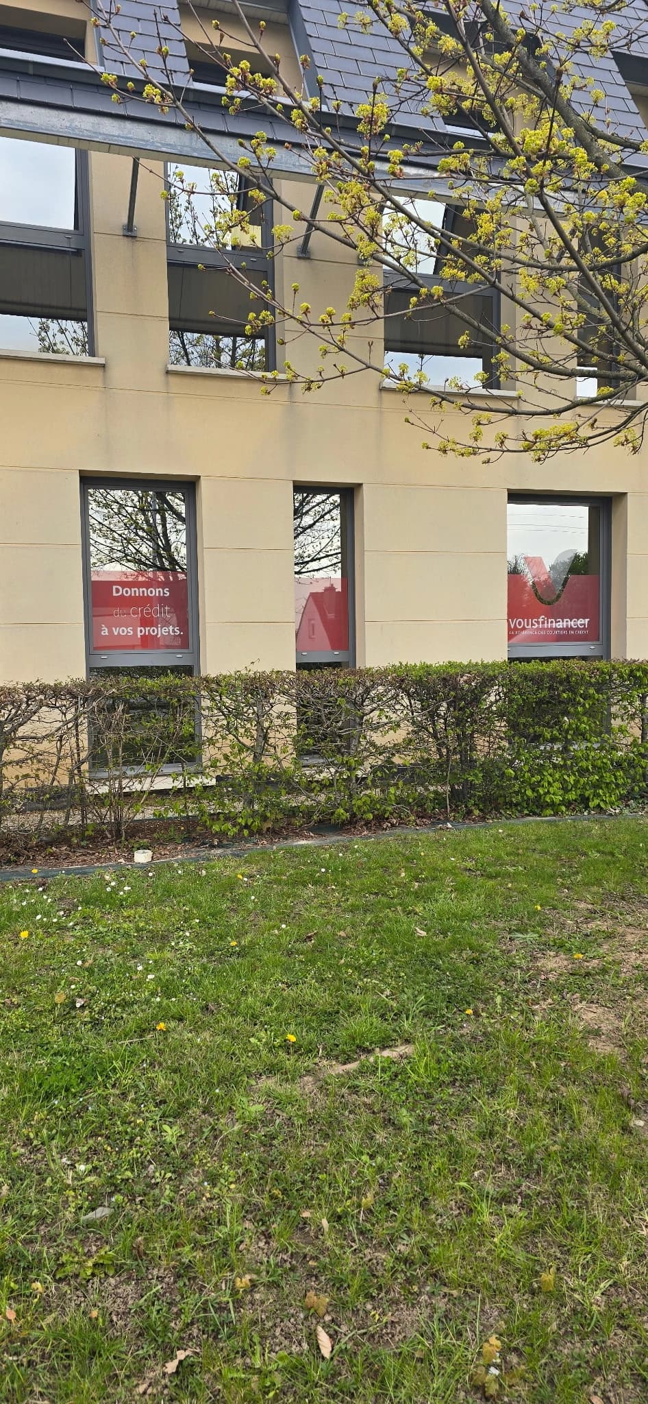Vitrophanie vitrines façade Vousfinancer - vue jardin
